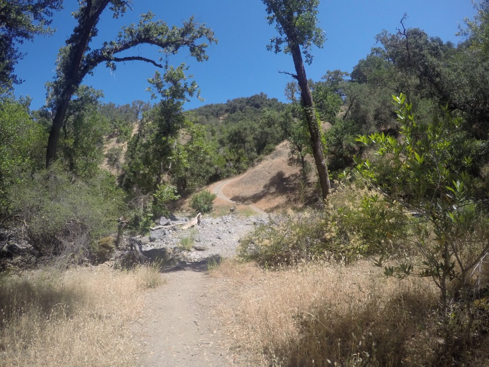 DCIM100GOPROGOPR1039.