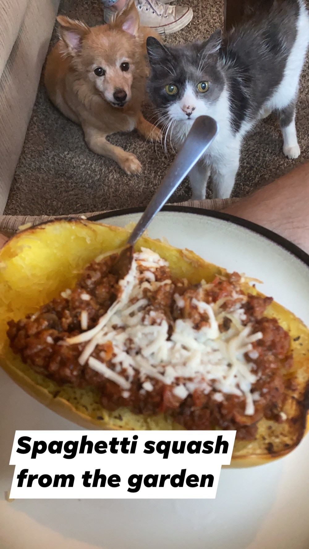 80624641-A126-417E-91C9-D7F419847221